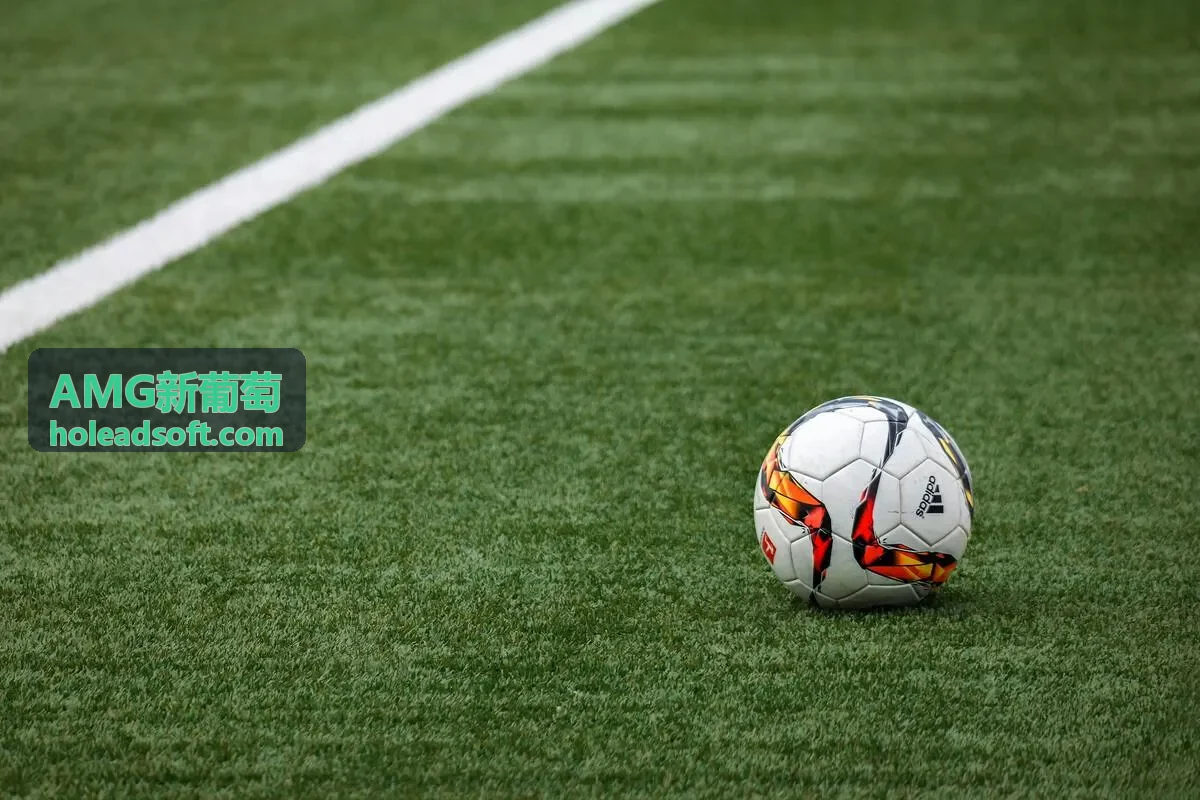 AMG新葡萄酿造系统全景